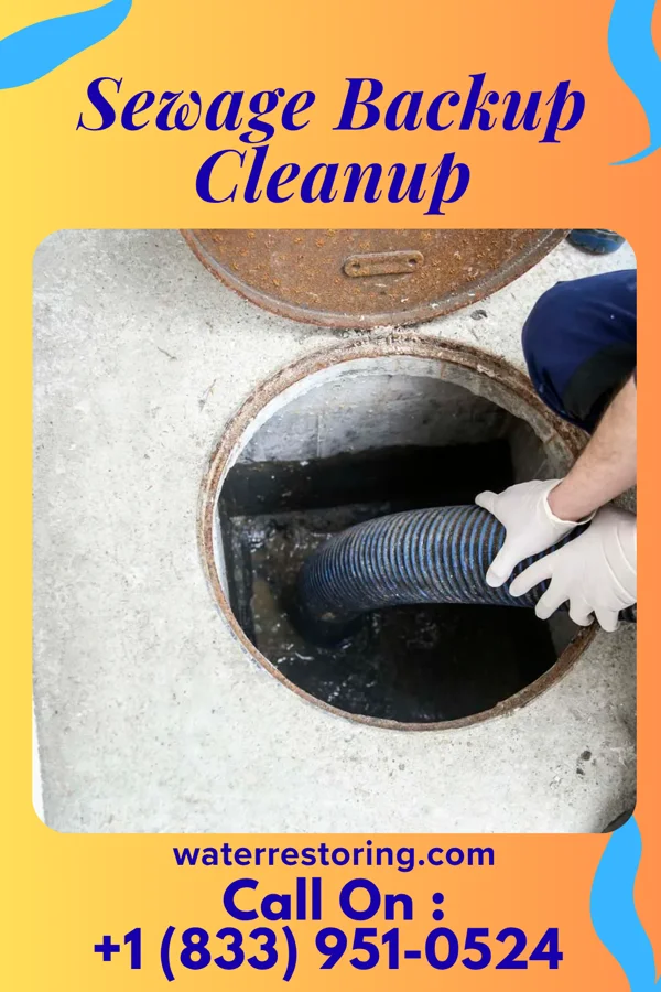 Sewage Backup Cleanup in Dunbar, SC