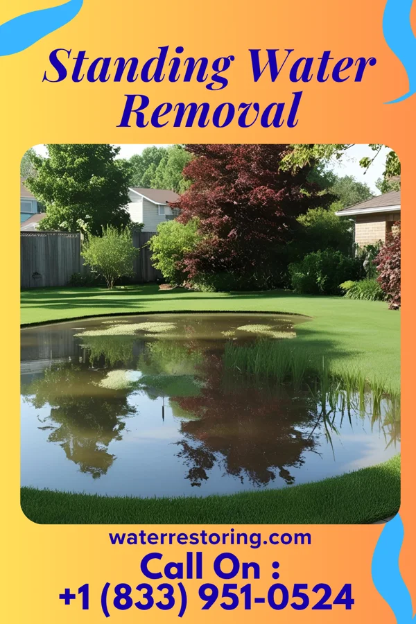 Standing Water Removal in Dunbar, SC
